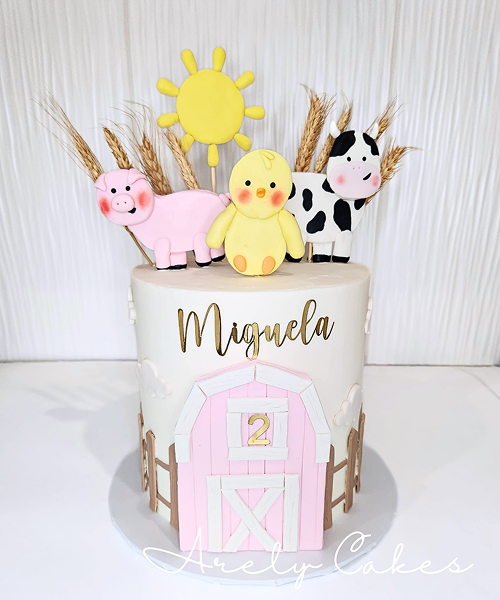 WhatsApp Image 2025-08-18 at 22.00.20 (3)